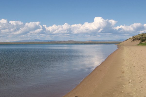 Кракен даркнет скачать