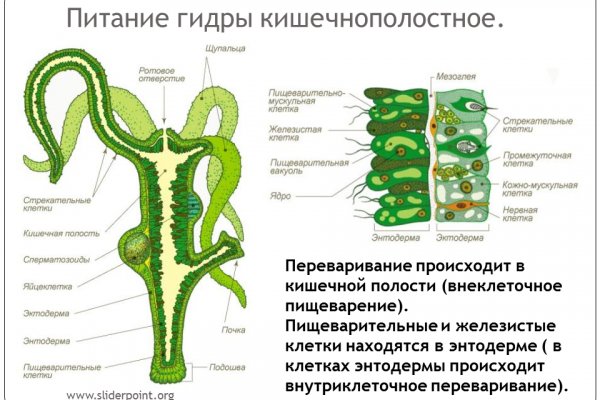 Кракен маркет kr2web in