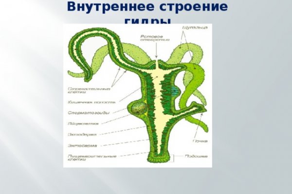 Кракен маркетплейс скачать